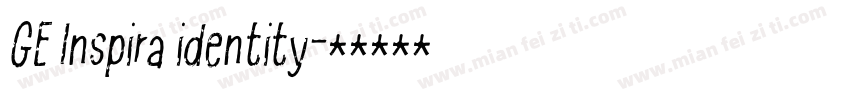 GE Inspira identity字体转换